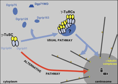 Figure 8.