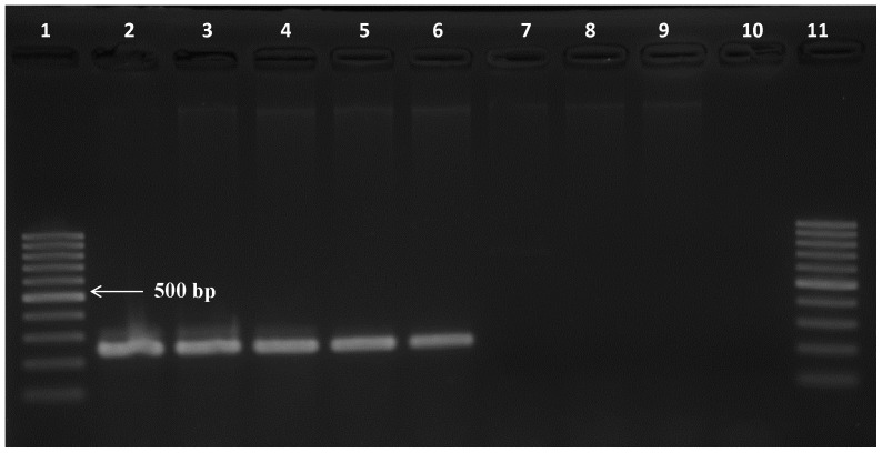 Figure 5