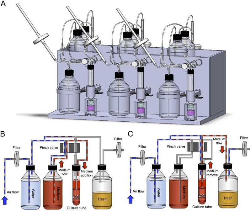 Fig 1