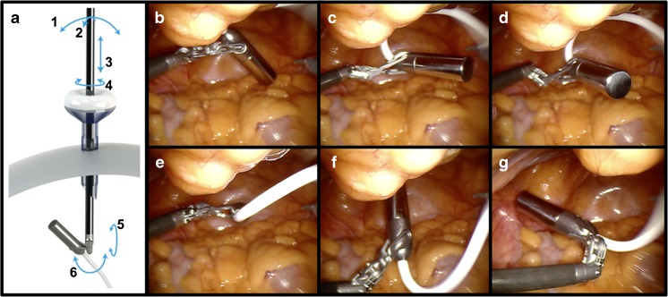 Fig. 2