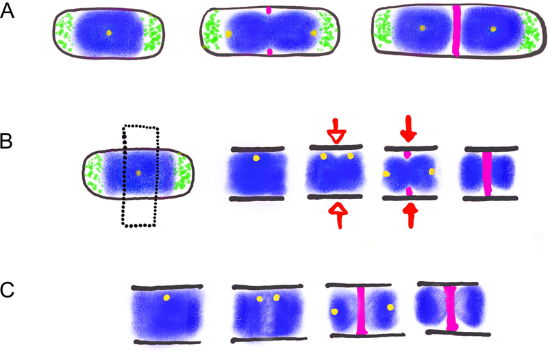 Figure 1: