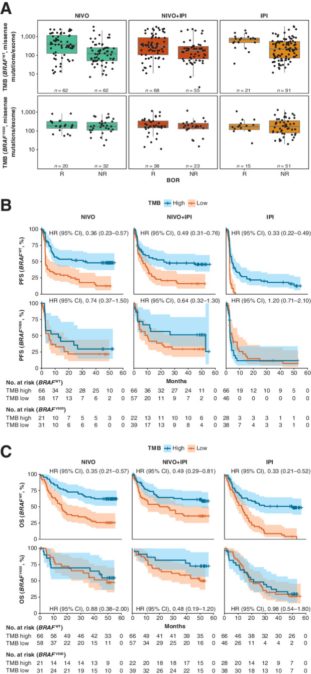 Figure 2. Clinical response and survival by TMB status and BRAF mutation status in CheckMate 067. A, Distribution of TMB by BRAF mutation status in responders and nonresponders treated with NIVO, NIVO+IPI, or IPI. Number of responders and nonresponders by treatment arm and BRAF mutation status is indicated on the figure. Boxes extend from the first to third quartiles, the middle line shows the median, and the whiskers extend to the most extreme data point that is no more than 1.5 times the IQR from the box. B, Kaplan–Meier curve for PFS comparing TMB-high and TMB-low patient subgroups by BRAF mutation status with NIVO, NIVO+IPI, or IPI. C, Kaplan–Meier curve for OS comparing TMB-high and TMB-low patient subgroups by BRAF mutation status with NIVO, NIVO+IPI, or IPI. HRs (95% CI) for high versus low TMB were obtained with univariate Cox proportional hazards models. NR, nonresponders; R, responders.