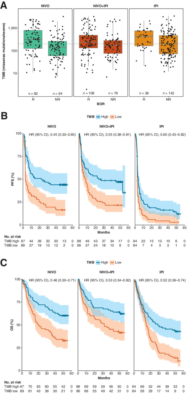 Figure 1. Clinical response and survival by TMB status in CheckMate 067. A, Distribution of TMB in responders and nonresponders with NIVO, NIVO+IPI, or IPI. Boxes extend from the first to third quartiles, the middle line shows the median, and the whiskers extend to the most extreme data point that is no more than 1.5 times the IQR from the box. Dotted line represents the median TMB across all treatment arms. B, Kaplan–Meier curve for PFS by TMB status for TMB-evaluable patients treated with NIVO, NIVO+IPI, or IPI. C, Kaplan–Meier curve for OS by TMB status for TMB-evaluable patients treated with NIVO, NIVO+IPI, or IPI. HRs (95% CI) for high versus low TMB were obtained with univariate Cox proportional hazards models. NR, nonresponders; R, responders.