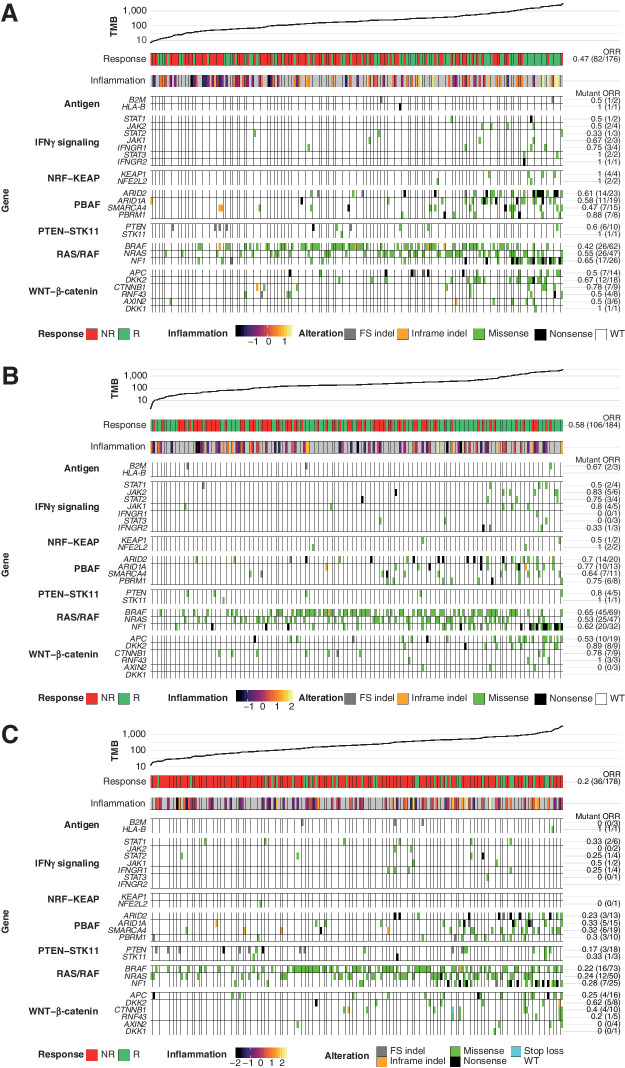 Figure 5. Heatmaps representing the relationship of candidate gene mutations to BOR, TMB, and inflammatory score in CheckMate 067. Patients in each arm are ordered by increasing TMB; inflammatory score is shown for patients with evaluable GEP results. ORR is provided as a fraction of responders over total mutated tumors for each gene assessed. A, Patients in the NIVO arm (n = 176). B, Patients in the NIVO+IPI arm (n = 184). C, Patients in the IPI arm (n = 178). FS, frameshift; NR, nonresponders; R, responders.