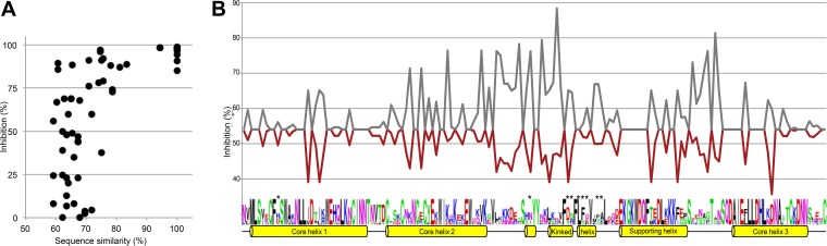 FIG 6