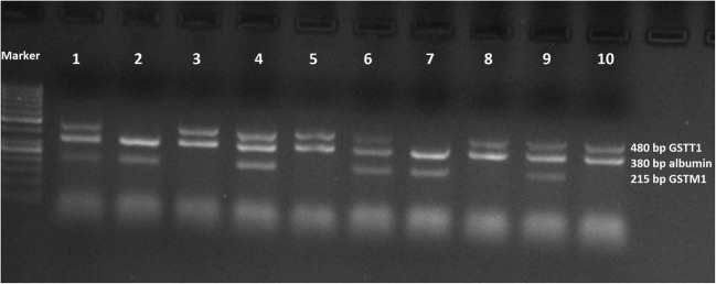 Fig. 1