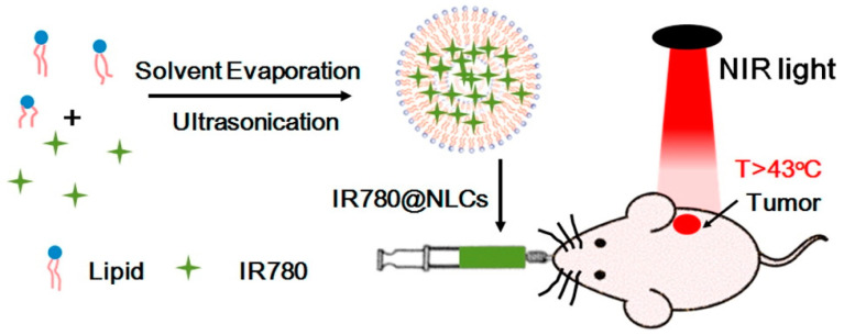 Figure 13