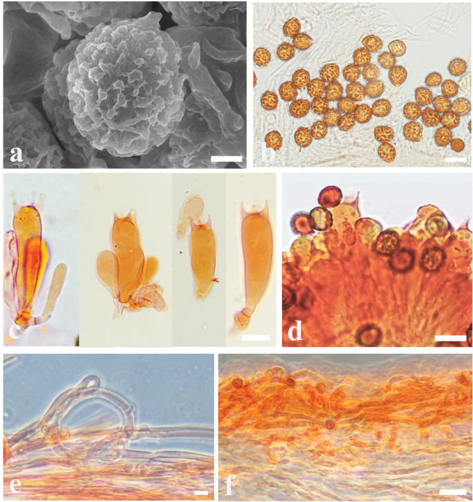 Figure 5.
