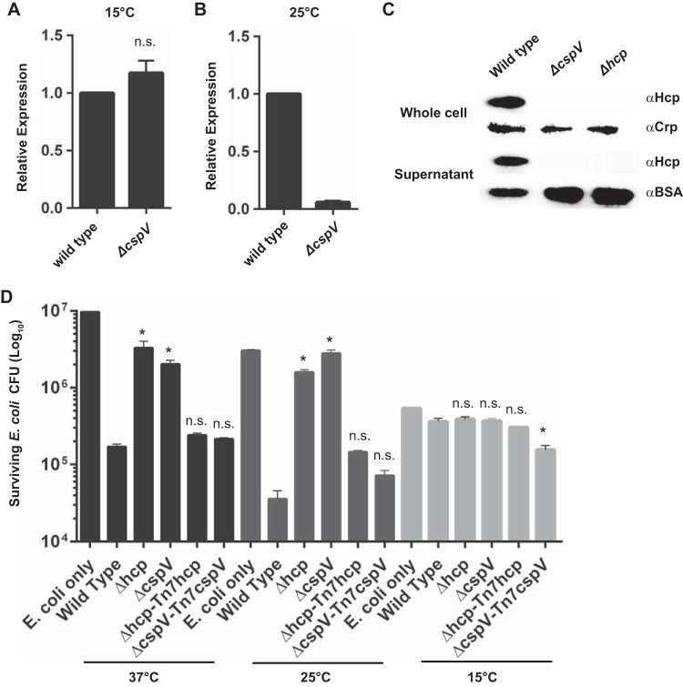 FIG 6