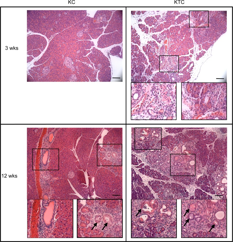 FIG 12