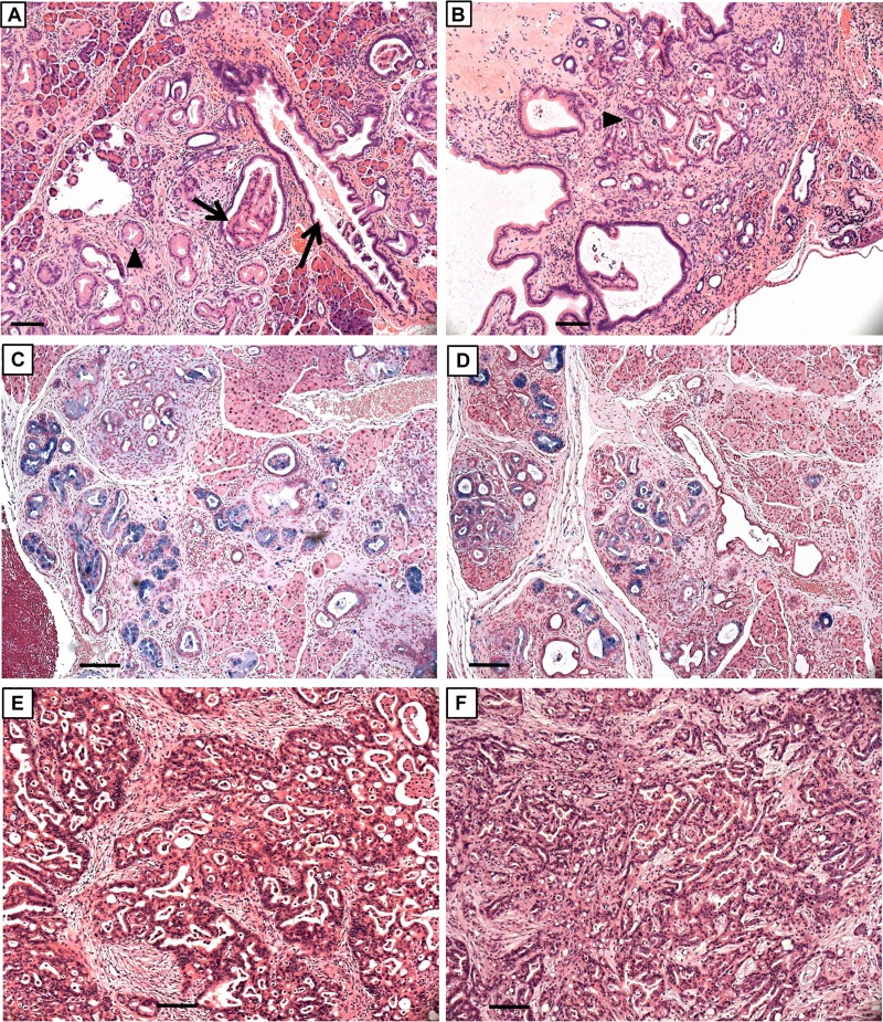 FIG 14