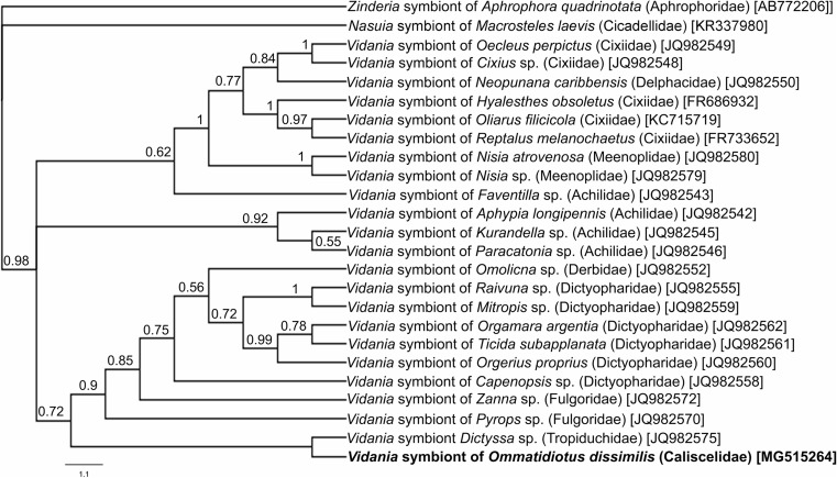 Fig. 2