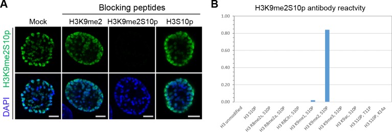 Figure 4—figure supplement 2.