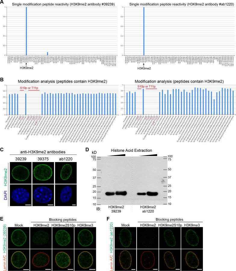 Figure 2—figure supplement 1.