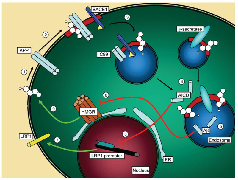 Figure 11