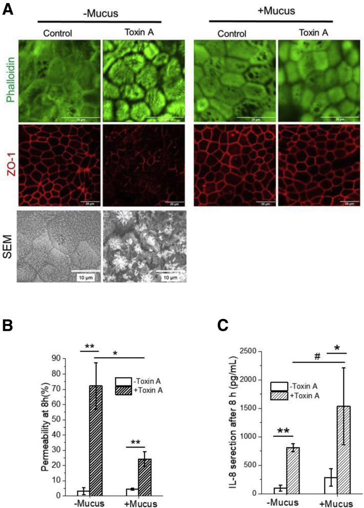 Supplemental Figure 3