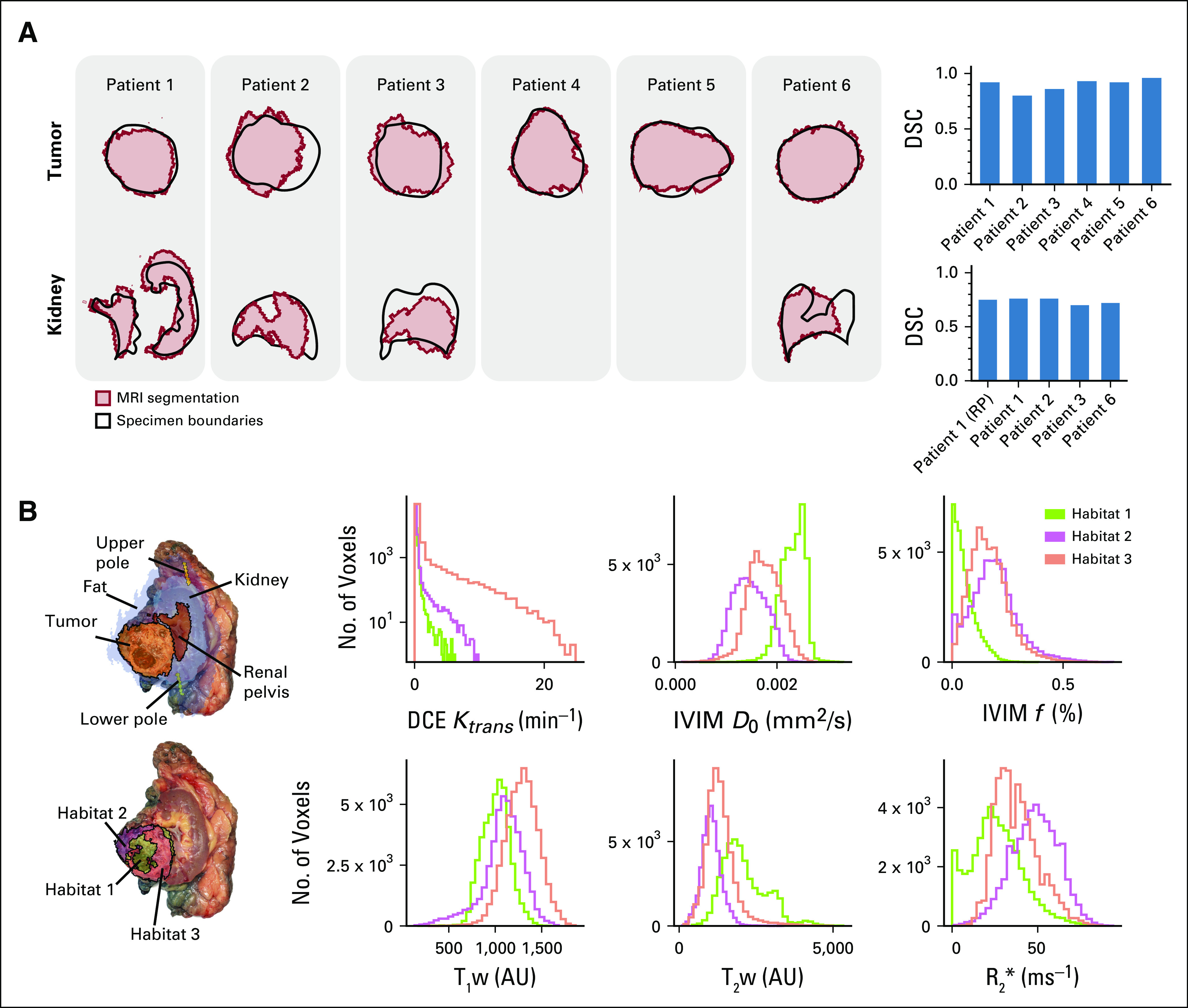 FIG 3.