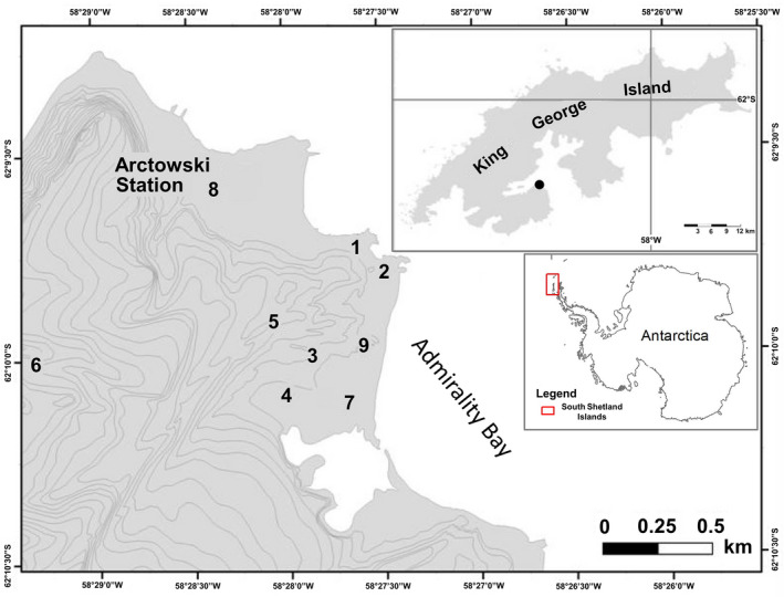 FIGURE 2