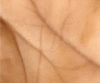 graphic file with name 13040_2023_319_Figd_HTML.gif