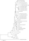 FIG. 2.