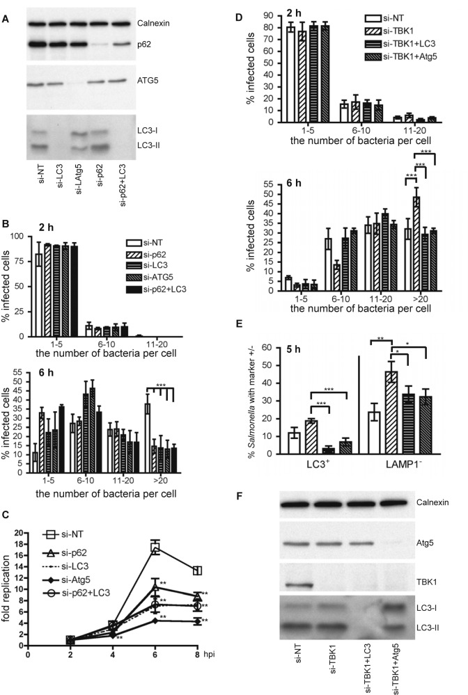 FIG 3 