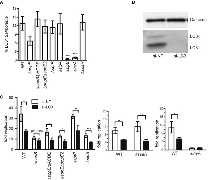 FIG 4 