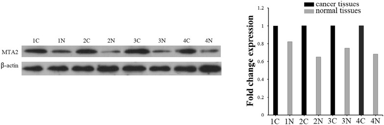 Fig. 5