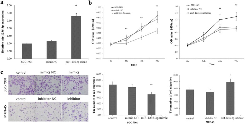 Fig. 2