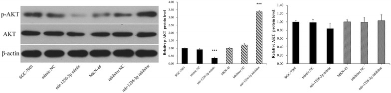 Fig. 8