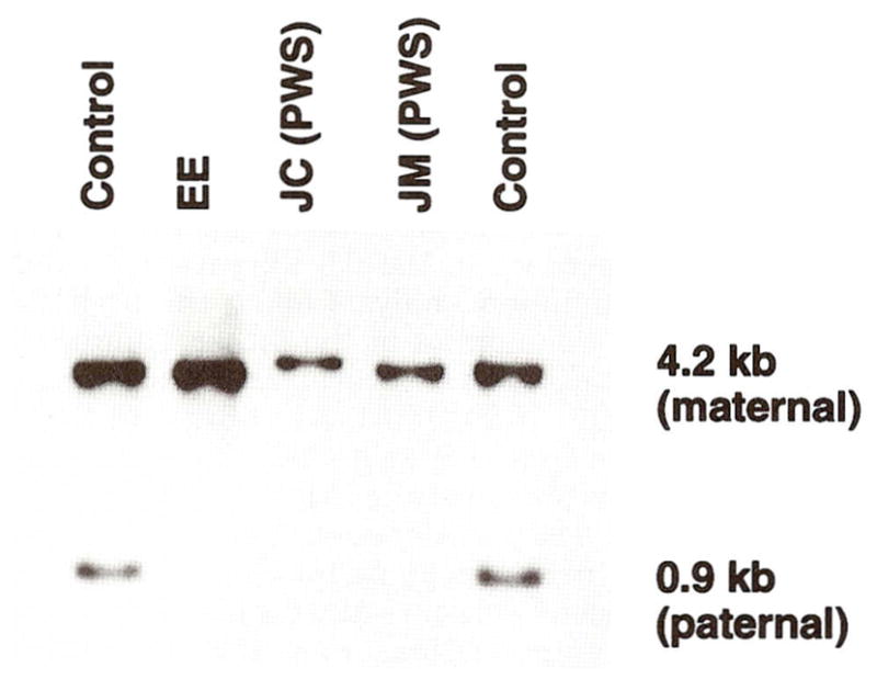 Fig. 5