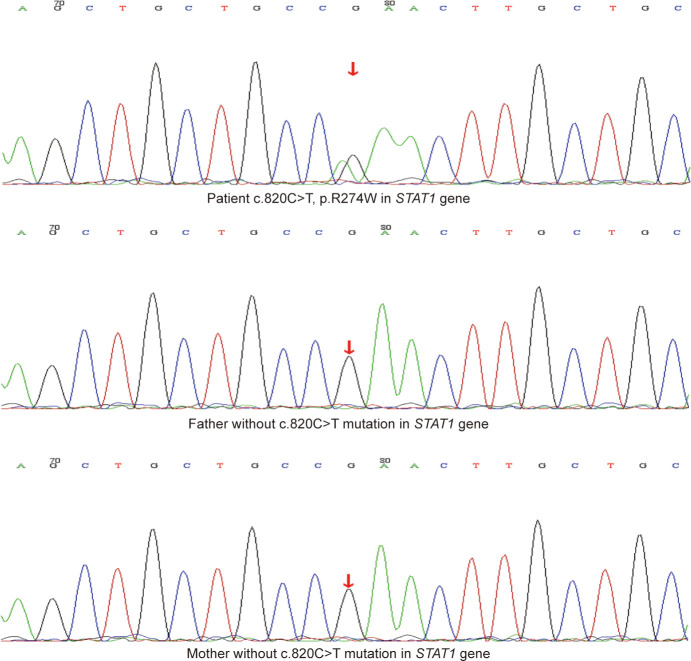 Figure 3