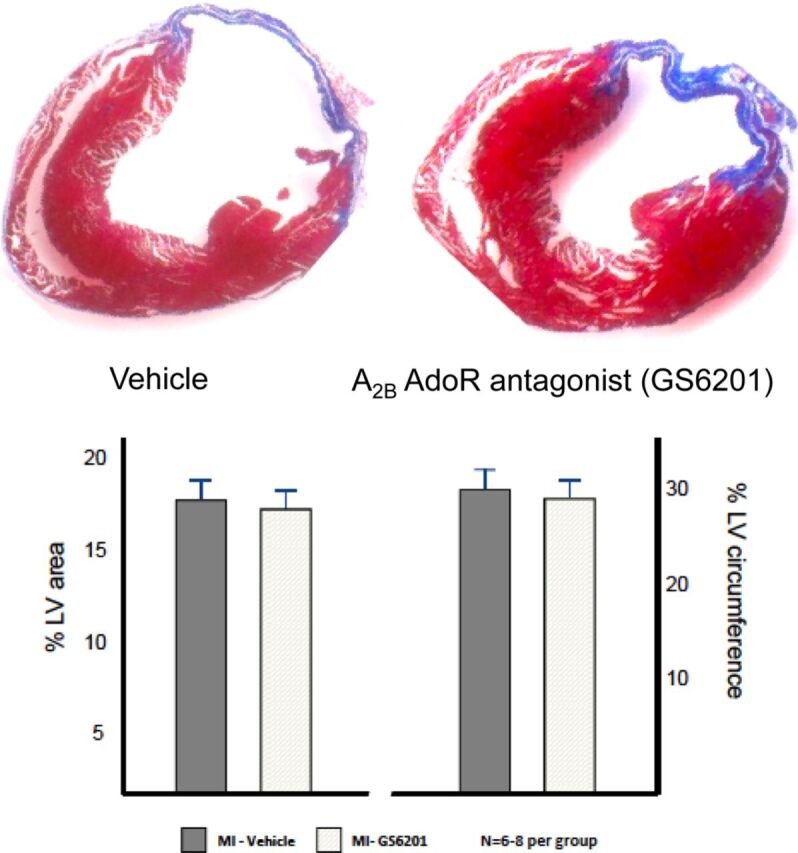 Fig. 9.