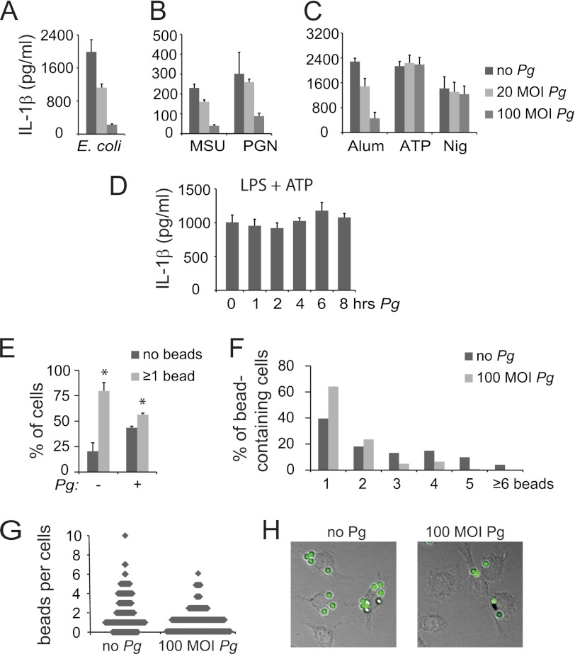 FIGURE 4.