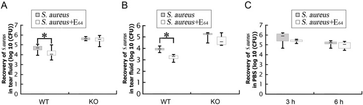 Fig 4