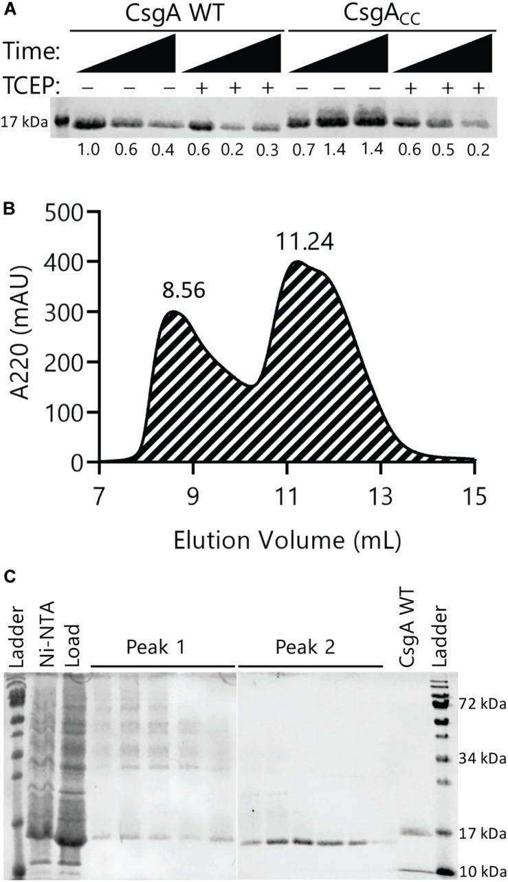 FIGURE 2