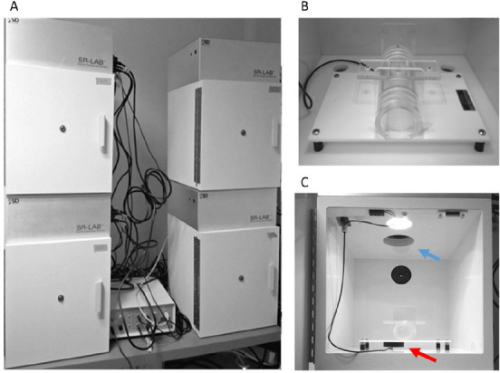 Figure 1.