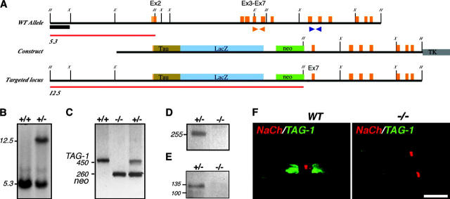 Figure 6.