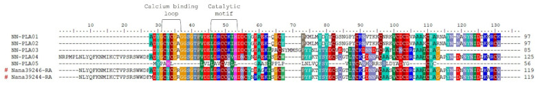 Figure 5