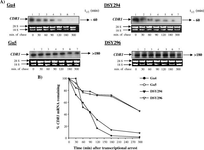 FIG. 6.