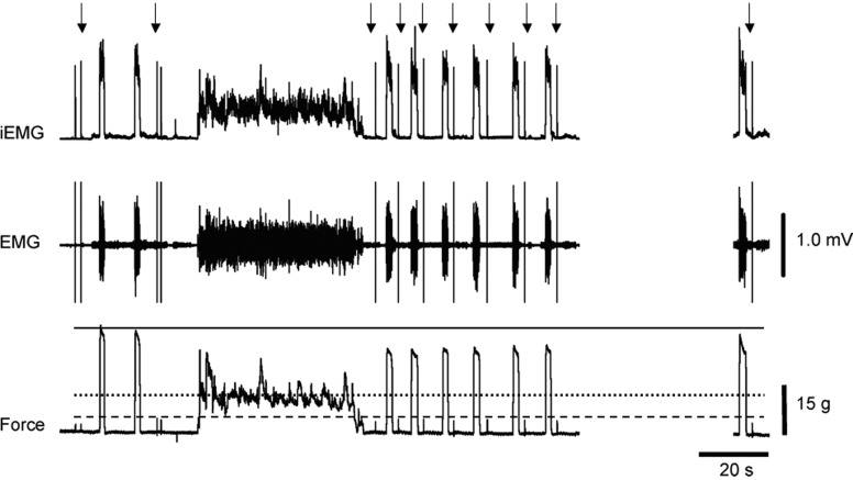 FIG. 1.