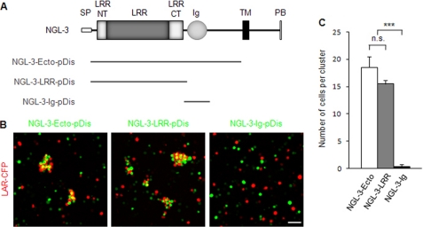 FIGURE 1.