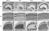 FIGURE 10.