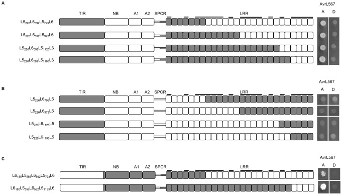 Figure 6