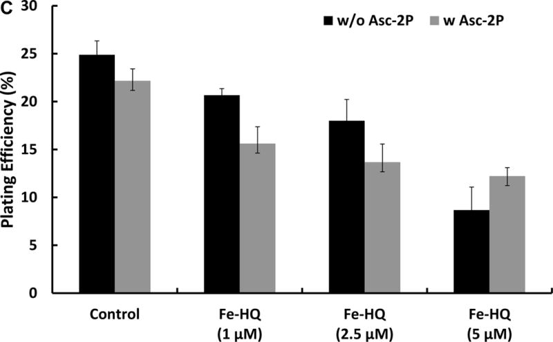 Figure 1C