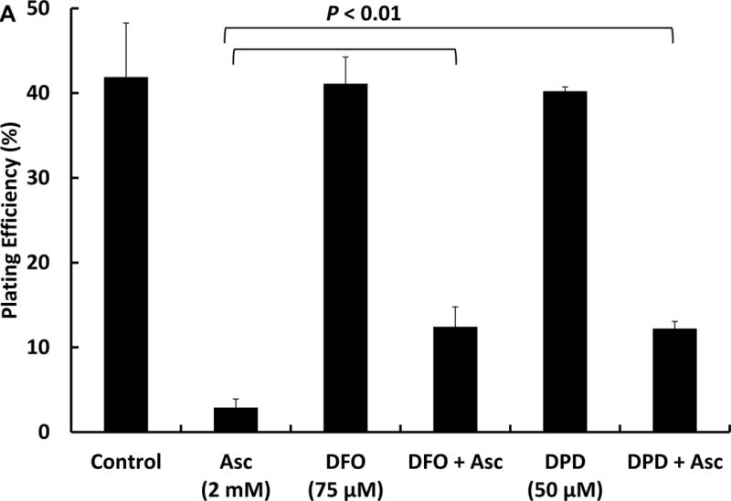 Figure 1A