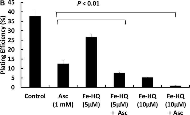 Figure 1B