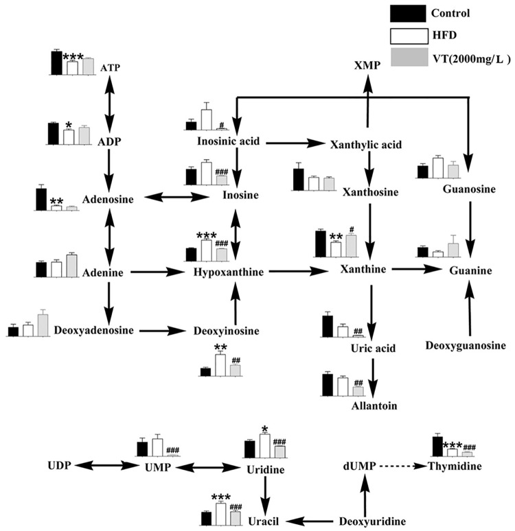 Fig 5