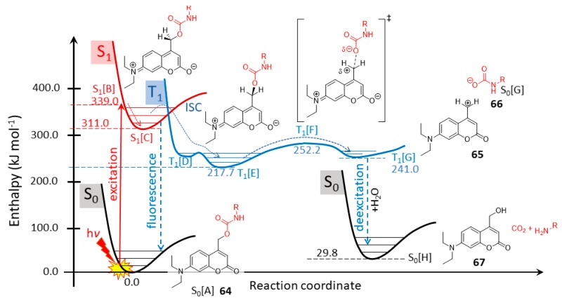 Figure 28