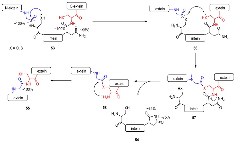 Figure 19