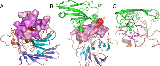 Fig. 9